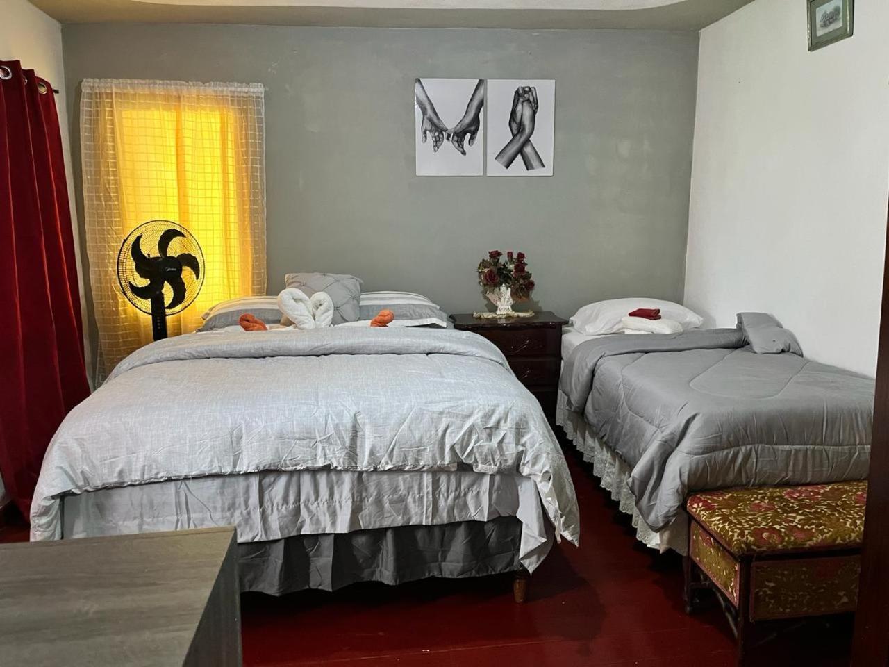 Nine Miles Cultural Hangouts And Tours Stepney Εξωτερικό φωτογραφία